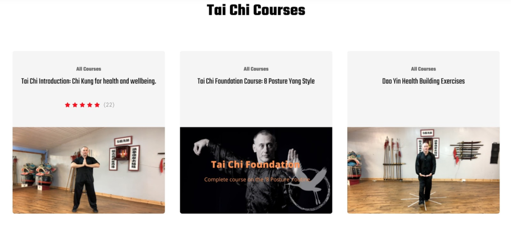An example of digital products in the form of tai-chi courses being sold online